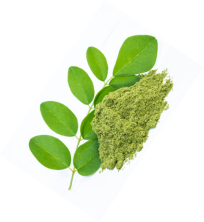 Moringa